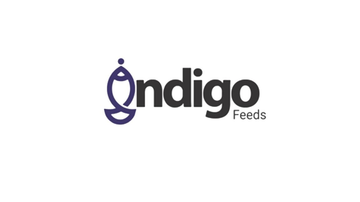 Indigo Feeds